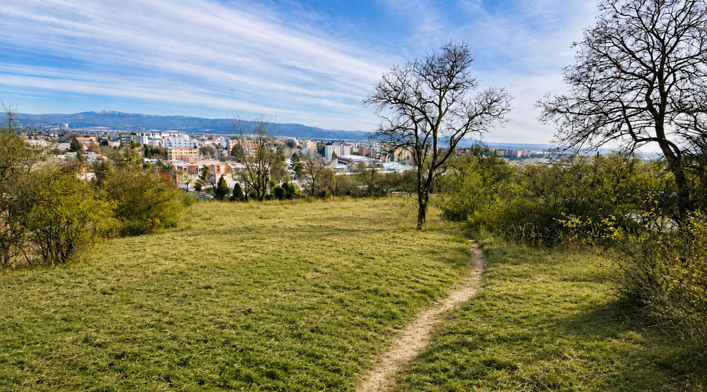 Na predaj stavebný pozemok nad centrom mesta, 807 m2, Nové Mesto nad Váhom