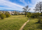 Na predaj stavebný pozemok Nové Mesto nad Váhom