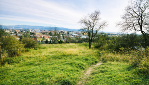 Na predaj stavebný pozemok nad centrom mesta, 807 m2, Nové Mesto nad Váhom
