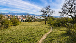 Na predaj stavebný pozemok Nové Mesto nad Váhom