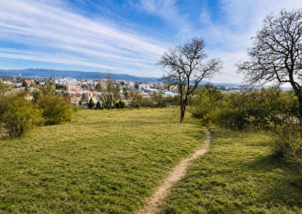 Na predaj stavebný pozemok nad centrom mesta, 807 m2, Nové Mesto nad Váhom